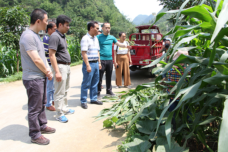 /QJ_660999045222.jpg 市国资委副调研员莫西宁(前排左三)在调研中,摄影者:巫恒军.JPG