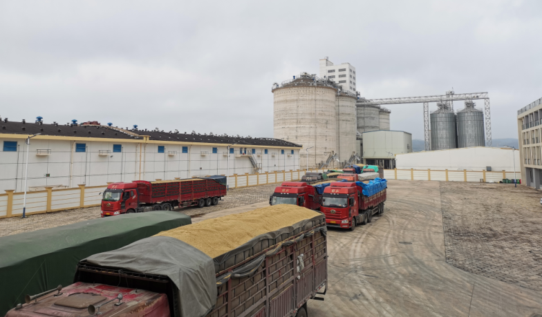 /QJ_610417957134.png 1.png