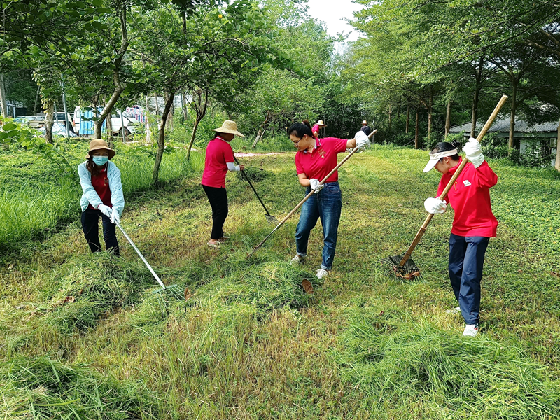 /QJ_538061656748.jpg 清理园区杂草.jpg